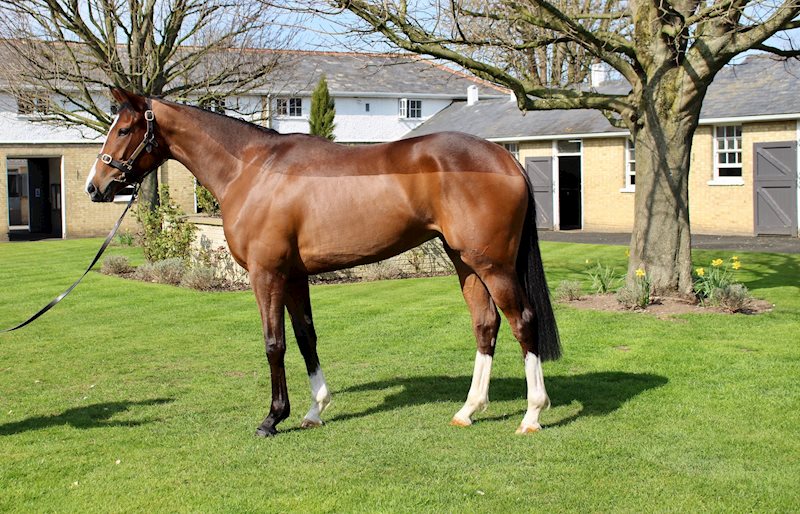 DIVINE JEWEL (GB) March 2022