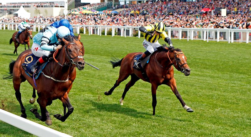ELDAR ELDAROV (GB) winning at Royal Ascot in the G2 Queen's Vase 2022. David Egan riding in yellow and black silks.