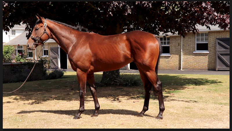 CAPH STAR (GB) July 2022