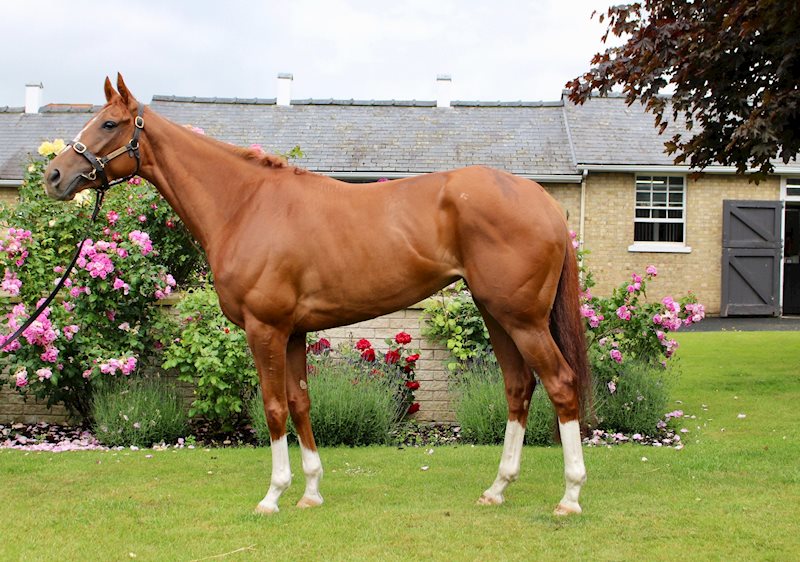 STRAWBERRI (GB) June 2022