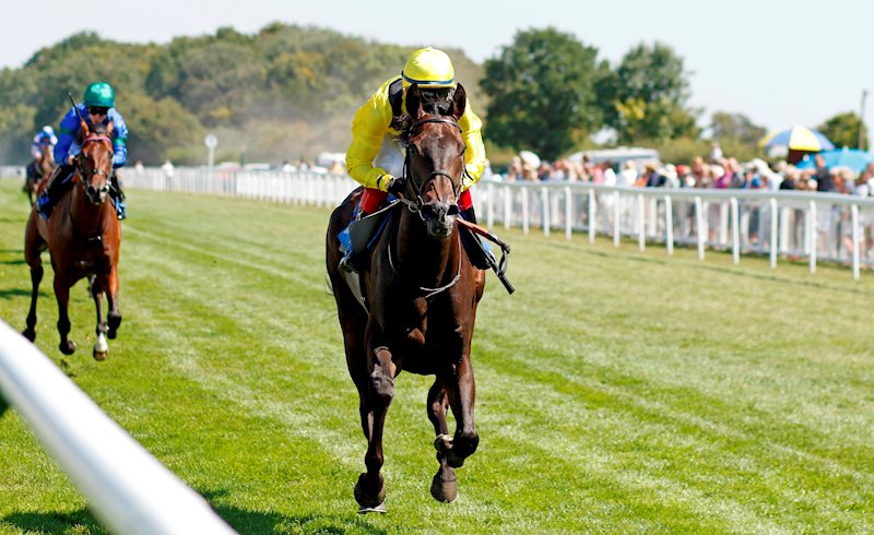 FAATTIK (GB) and David Egan land the prize at Salibury in the Sorvio Insurance Brokers Novice Stakes (11.8.22)