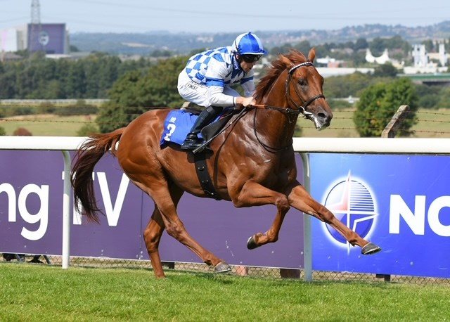 RUSSET GOLD (GB) in the hands of Ben Curtis