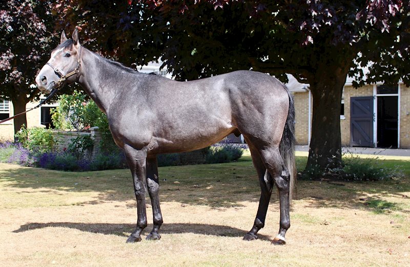 INDEMNIFY (GB) - July 2022