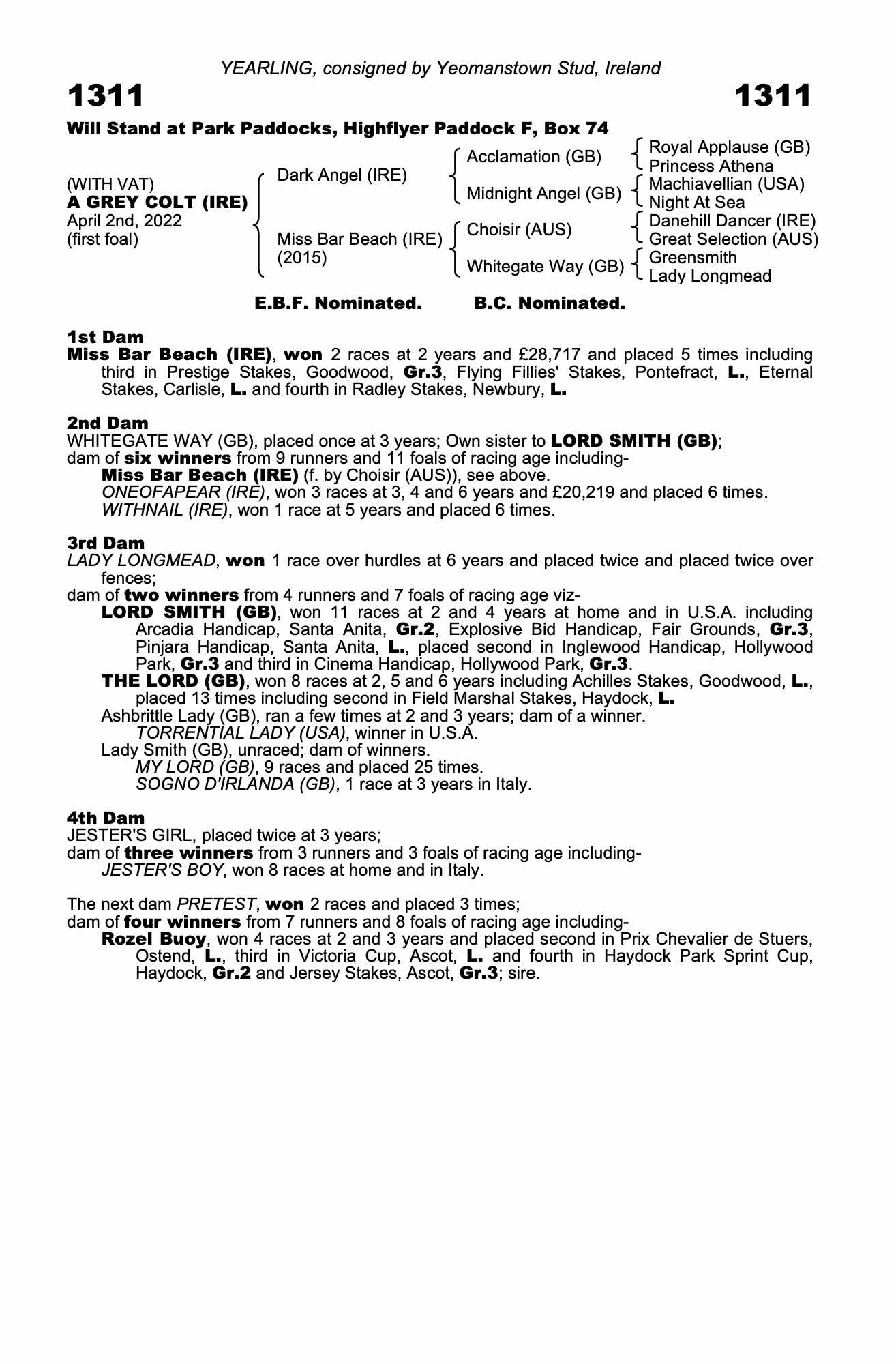 Horses For Sale Varian Stables